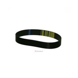 CORREA POLY-V  M-10/ 15