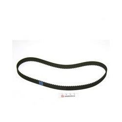 CORREA DENTADA 240 XL BM-5
