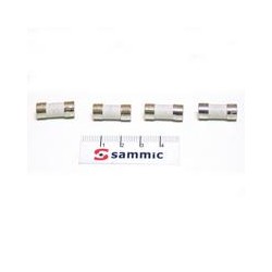 FUSIBLE CERAMICO 5x20 10A