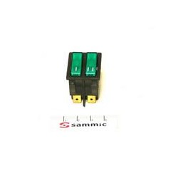 INTERRUPTOR LUMINOSO FPG