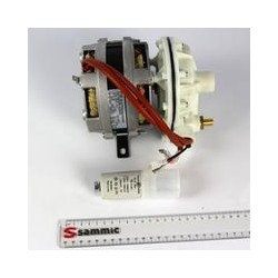MOTOBOMBA 0,33HP 230/50HZ