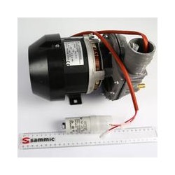 MOTOBOMBA 1,2HP 230/50HZ
