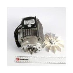 MOTOR PELADORA PPC-6/12 +...
