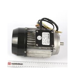 MOTOR PELADORA PP-6/12+...