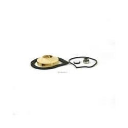 ACCESORIOS MOTOBOMBA 0,33...