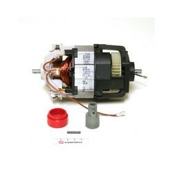 MOTOR TR-350