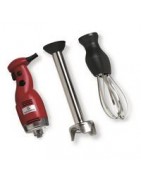 ELECTROPORTATILES
